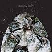 Friendly Fires [Deluxe Edition] [CD/DVD]