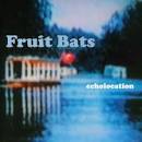 Fruit Bats - Echolocation