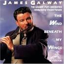 James Galway - The Wind Beneath My Wings