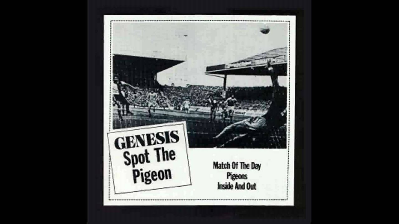 Pigeons - Pigeons