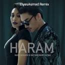 Dayang Nurfaizah - Haram