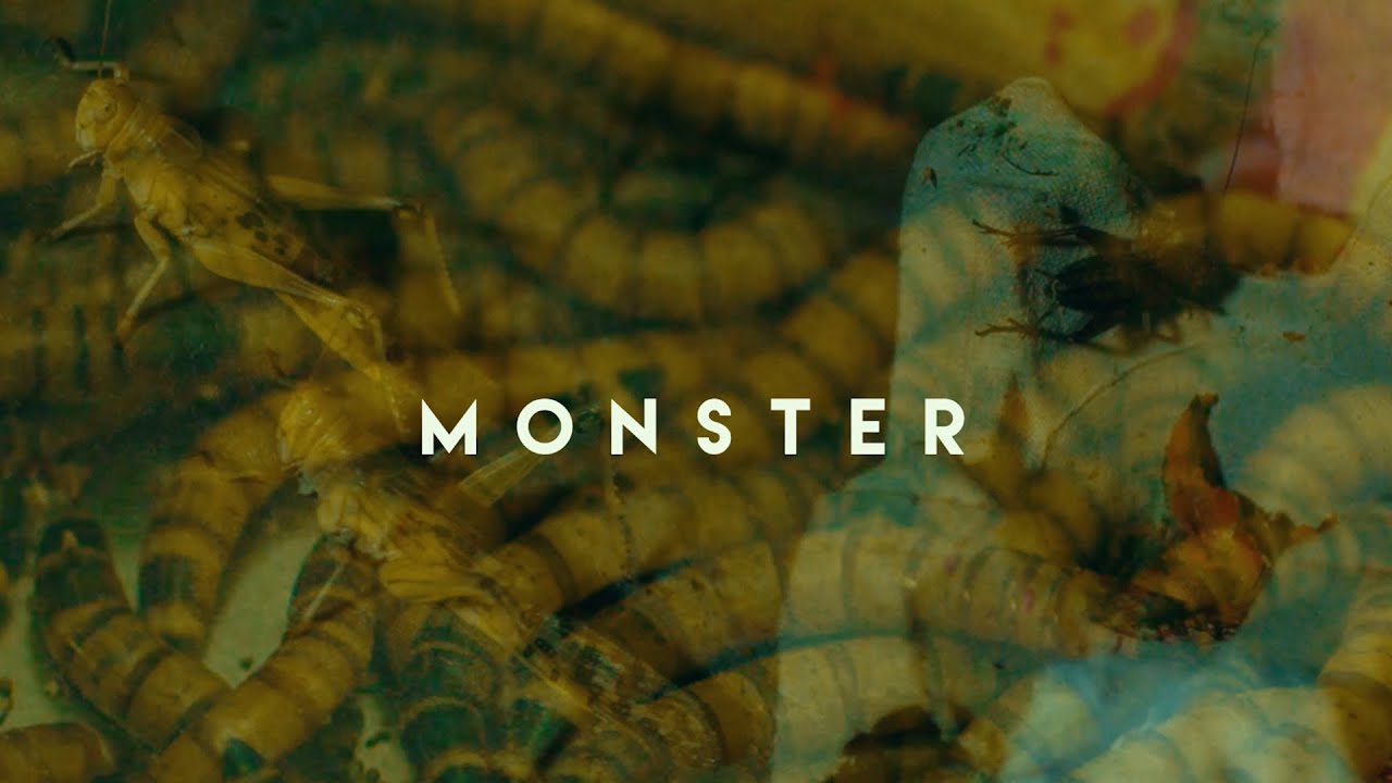 Monster - Monster