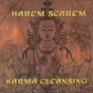 Karma Cleansing