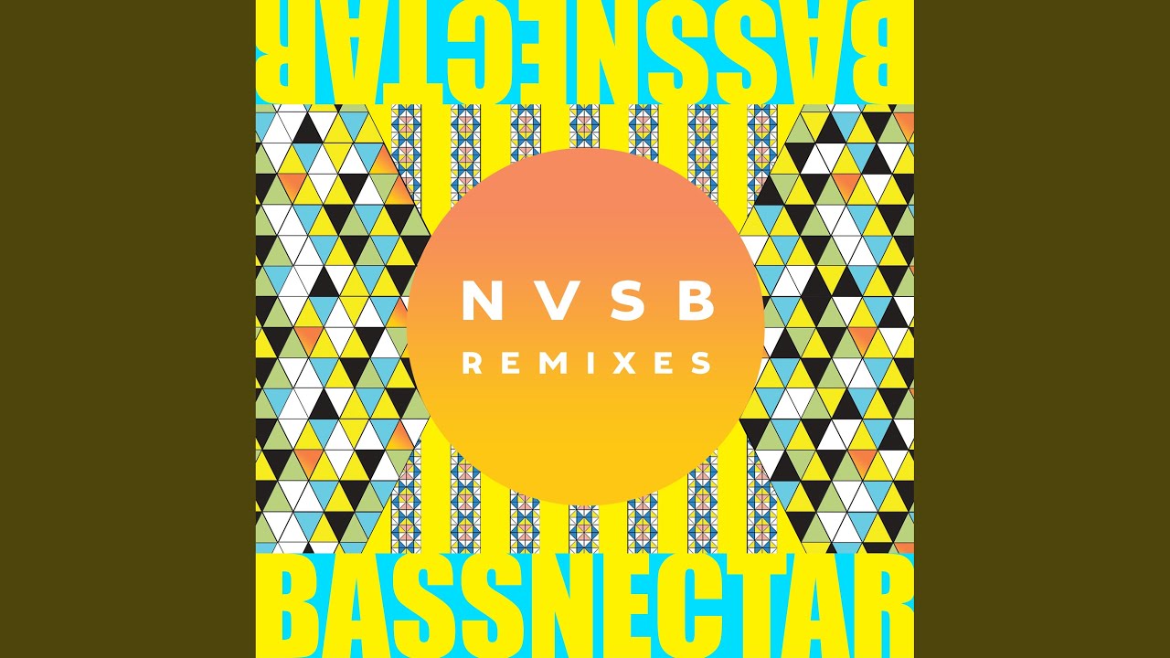 Hayley Gene and Bassnectar - You & Me