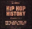 Hip Hop History: Chapters 1 & 2: 90's Finest
