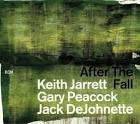 Jack DeJohnette - After the Fall
