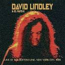 David Lindley - Live at the Bottom Line, New York City 1981