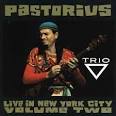 Jaco Pastorius - Live in New York City