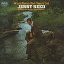 Jerry Reed - When You're Hot You're Hot