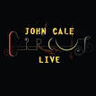 John Cale - Circus Live