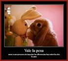 Amor Tierno