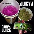 J.U.I.C.E. - 100% Juice