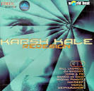 Karsh Kale - Redesign: Realize Remixed