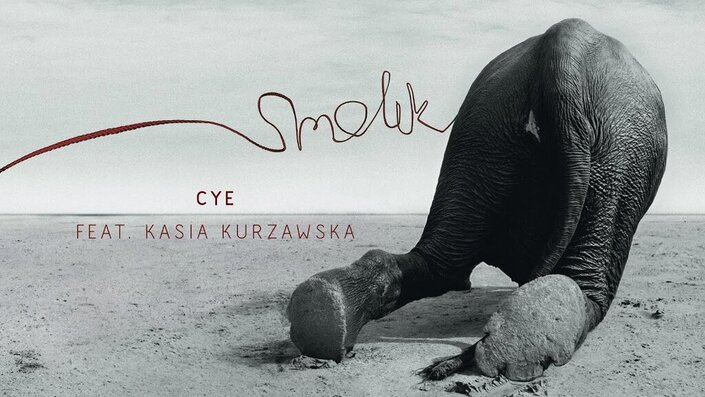 Cye [Album Version]