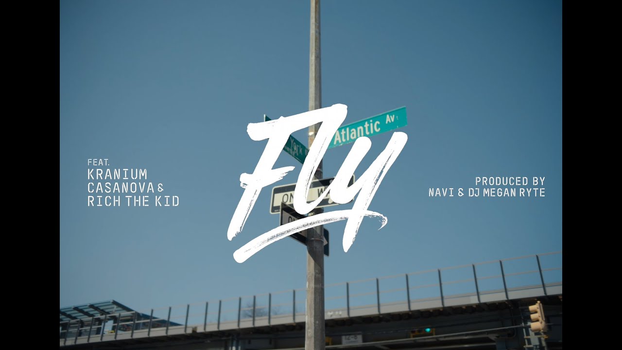 Fly