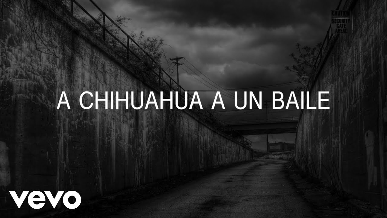 A Chihuahua A Un Baile - A Chihuahua A Un Baile