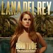 Born to Die [The Paradise Edition]