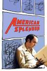 Marvin Gaye - American Splendor