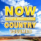 Sam Hunt - Now That's What I Call Country, Vol. 9