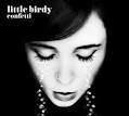 Little Birdy - Confetti