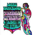 Lonnie Youngblood - Psychedelic Experience: A Tribute To Jimi Hendrix