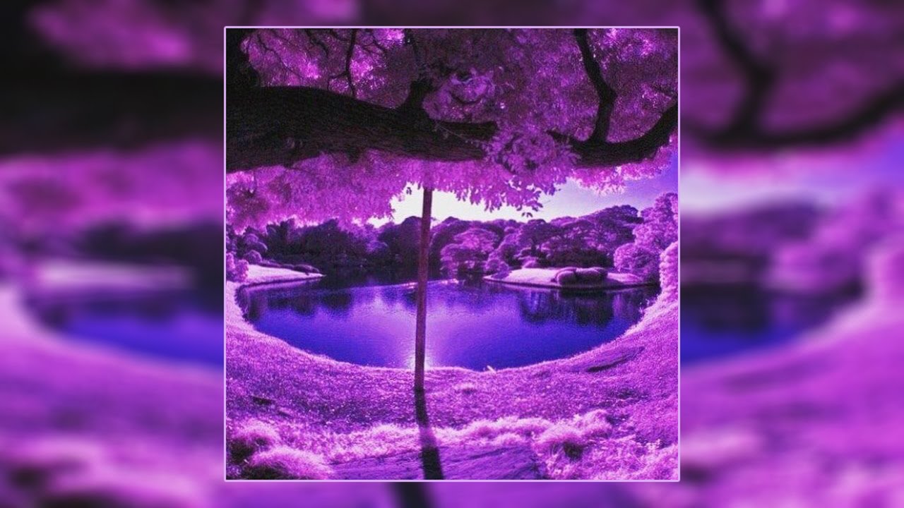 Rest In Purple - Rest In Purple