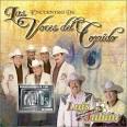 Homero Guerrero, Jr. - Encuentro de las Voces del Corrido