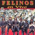 Los Felinos - En Vivo