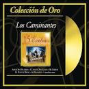 Los Caminantes - Colección de Oro: Para Tí