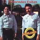 Los Tremendos Gavilanes - 12 Tremendos Exitos