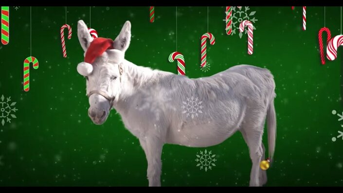 Dominick the Donkey (The Italian Christmas Donkey)