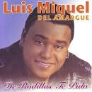 Luis Miguel Del Amargue - De Rodillas Te Pido