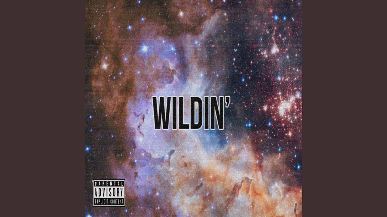 Wildin' - Wildin'