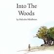 Malcolm Middleton - Into The Woods