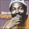 Marvin Gaye - Final Concert [Planet Media]