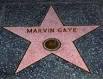 Marvin Gaye - Hall of Fame