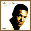 Marvin Gaye - Joy