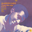 Moods of Marvin Gaye/That's the Way Love Is