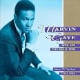 Marvin Gaye - Seek & You Shall Find: More of the Best (1963-1981)