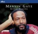 Marvin Gaye - Sexual Healing [Ringle]