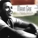 Marvin Gaye - Sexual Healing: The Love Collection