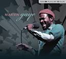 Marvin Gaye - Playlist Plus