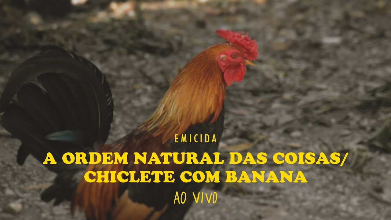 A Ordem Natural das Coisas / Chiclete Com Banana [Ao Vivo]