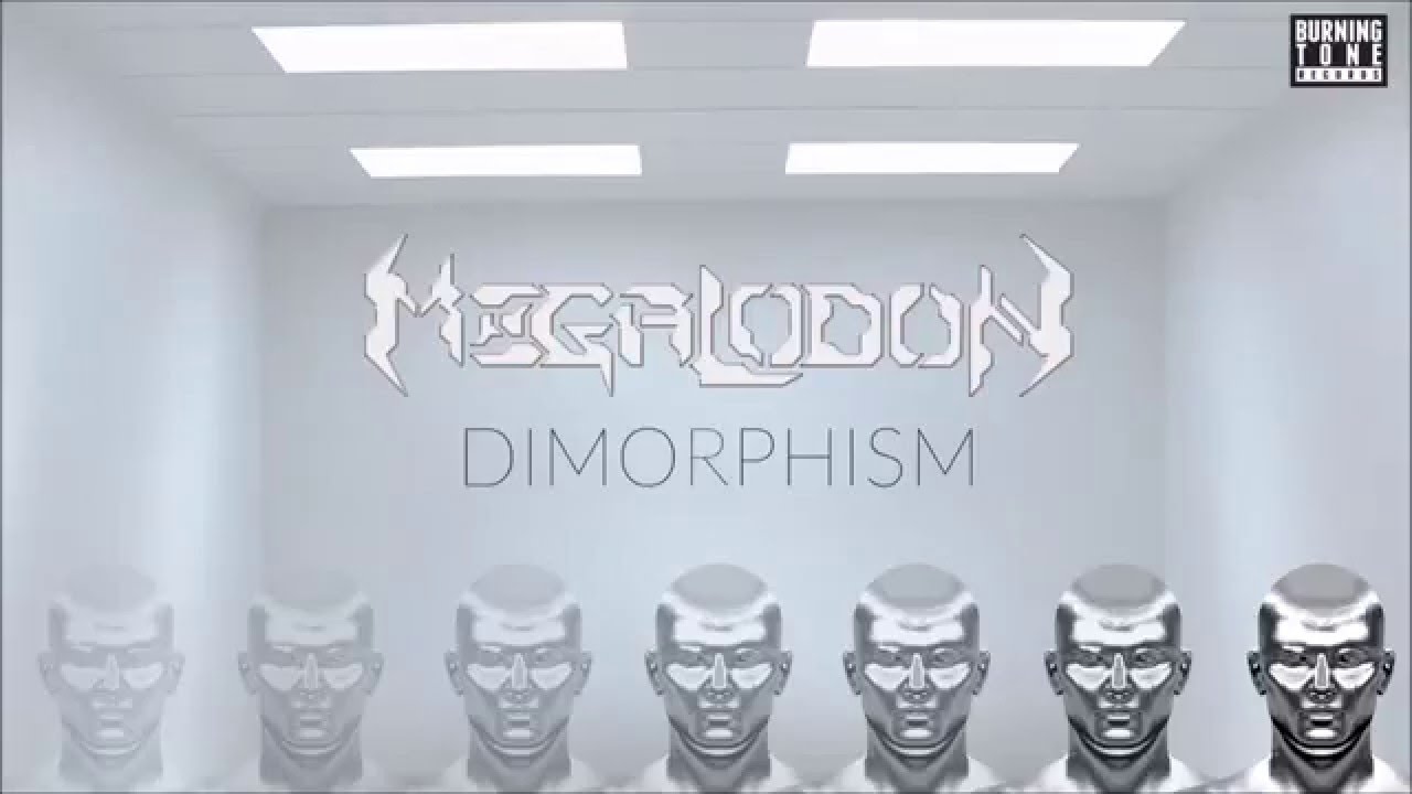 Dimorphism