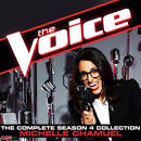 Michelle Chamuel - I Kissed A Girl [The Voice Performance]