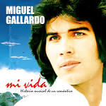 Miguel Gallardo - Historia de Amor: Exitos