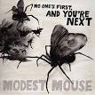 Modest Mouse - No One's First, and You're Next