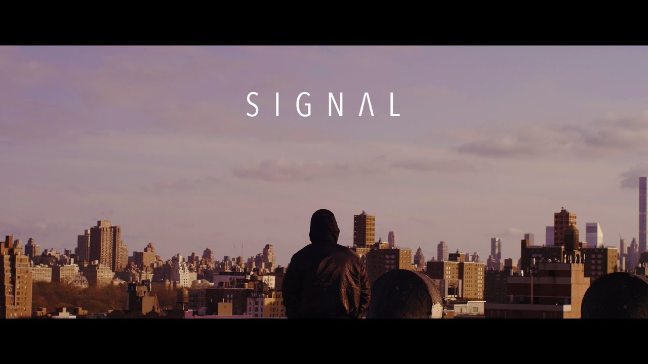 Signal