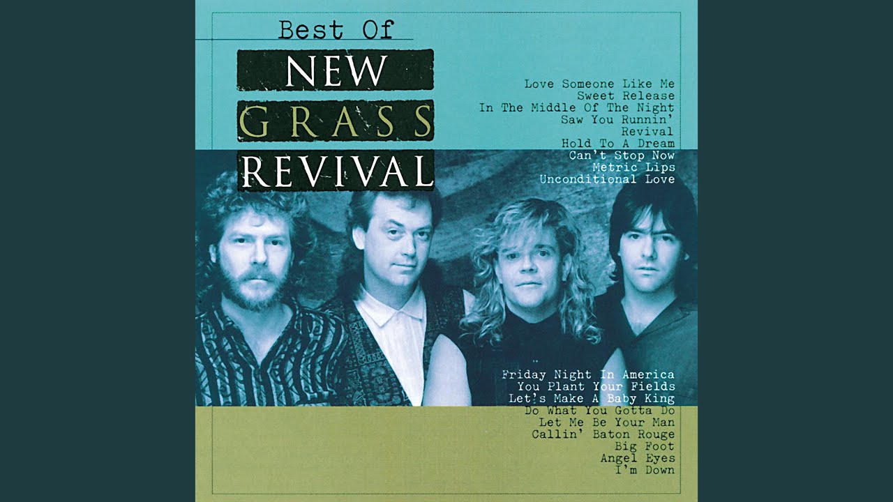 New Grass Revival - Love Someone Like Me