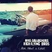 Noel Gallagher - AKA... What a Life!